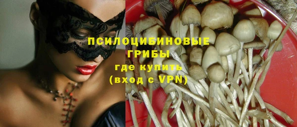 таблы Верея